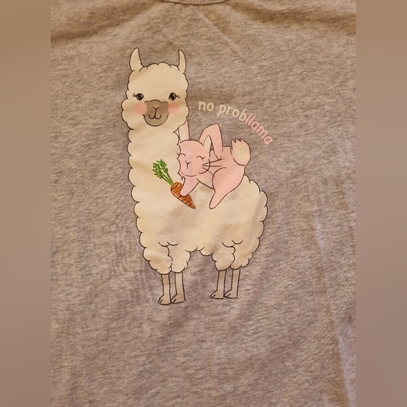 Peter Alexander llama Pajama set XL - Picture 9 of 10